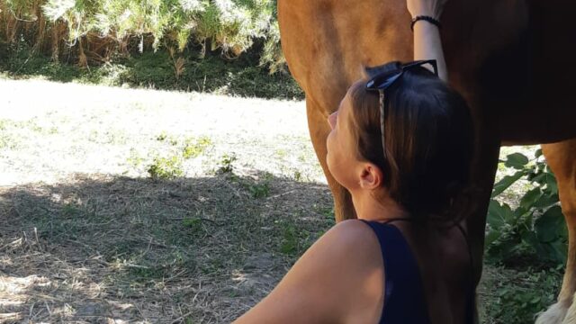 Communication-animale